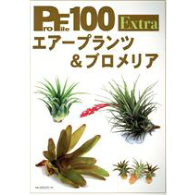 楽天市場 ピーシーズ エア プランツ ブロメリア ピ シ ズ 価格比較 商品価格ナビ 楽天市場 ピーシーズ エア プランツ ブロメリア ピ シ ズ 価格比較 商品価格ナビ